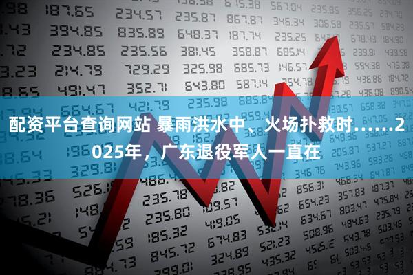 配资平台查询网站 暴雨洪水中、火场扑救时……2025年，广东退役军人一直在