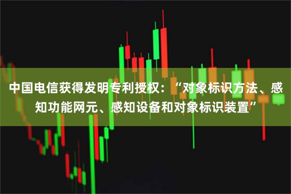 中国电信获得发明专利授权:“对象标识方法、感知功能网元、感知设备和对象标识装置”